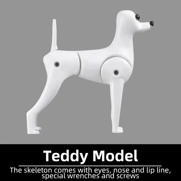 Professional Pet Grooming Model Dog for Grooming Practice Dog Standard Skeleton Model Dog Pet Simulator Model