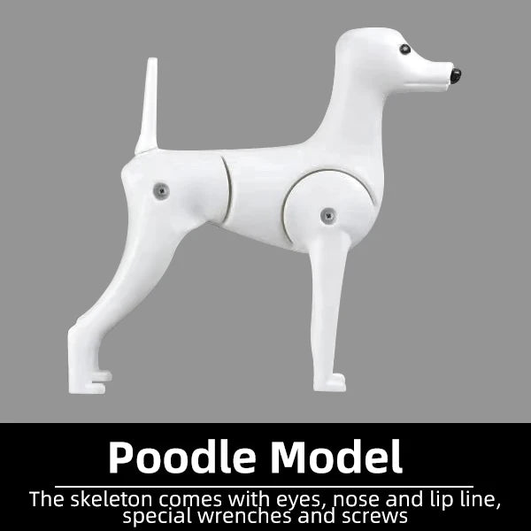 Professional Pet Grooming Model Dog for Grooming Practice Dog Standard Skeleton Model Dog Pet Simulator Model