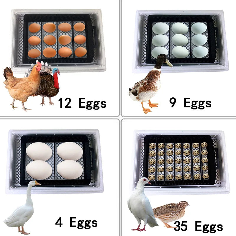 Newest Farm Machine 4-35 Hatchery Egg Hatchers Incubator Brooder Chicken Automatic Eggs Incubator Bird Quail Brooder with Candle