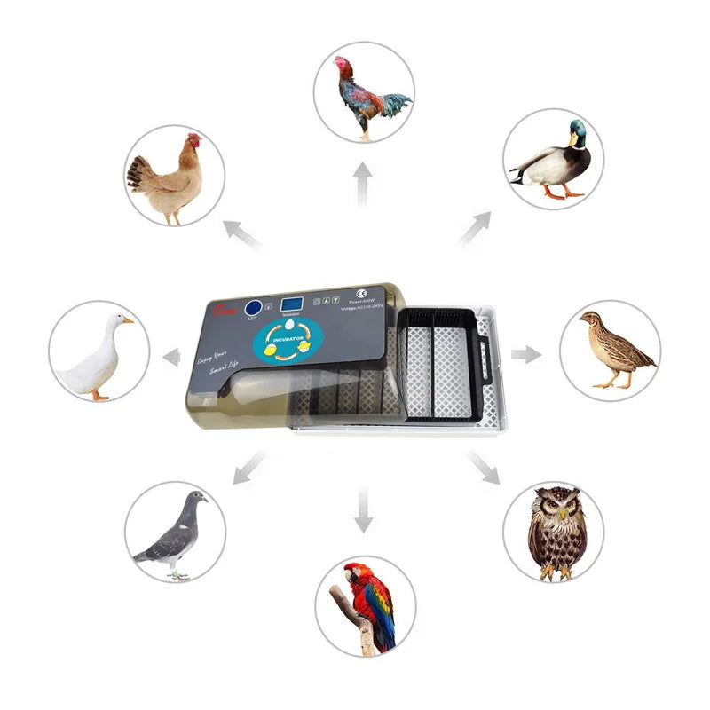 Newest Farm Machine 4-35 Hatchery Egg Hatchers Incubator Brooder Chicken Automatic Eggs Incubator Bird Quail Brooder with Candle