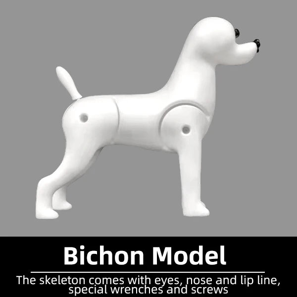 Professional Pet Grooming Model Dog for Grooming Practice Dog Standard Skeleton Model Dog Pet Simulator Model