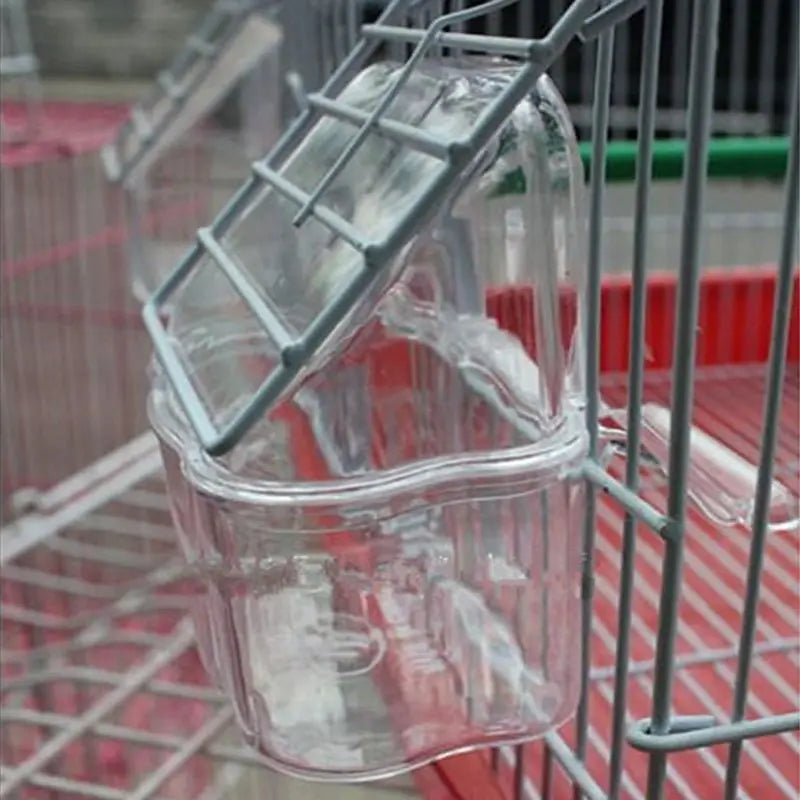 Parrot Bird Transparent Plastic Food Cup Bowl Company Clean Water Silo Waterer Box Bird Accessory for Parakeets, Canarie