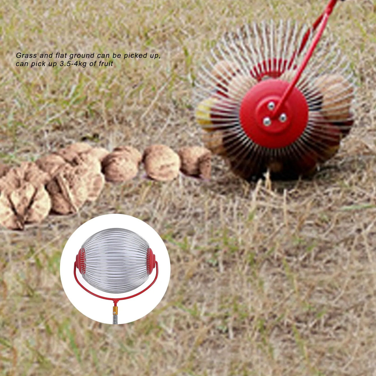 Acorn Picker Upper Roller Multifunction Rolling Convenient Fruit Collector Portable Stainless Steel Large Capacity for Walnuts