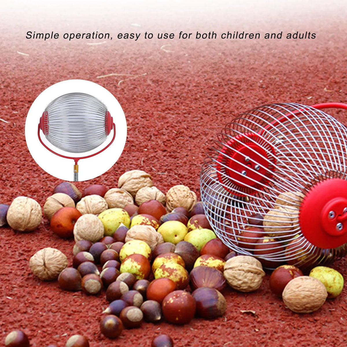 Acorn Picker Upper Roller Multifunction Rolling Convenient Fruit Collector Portable Stainless Steel Large Capacity for Walnuts