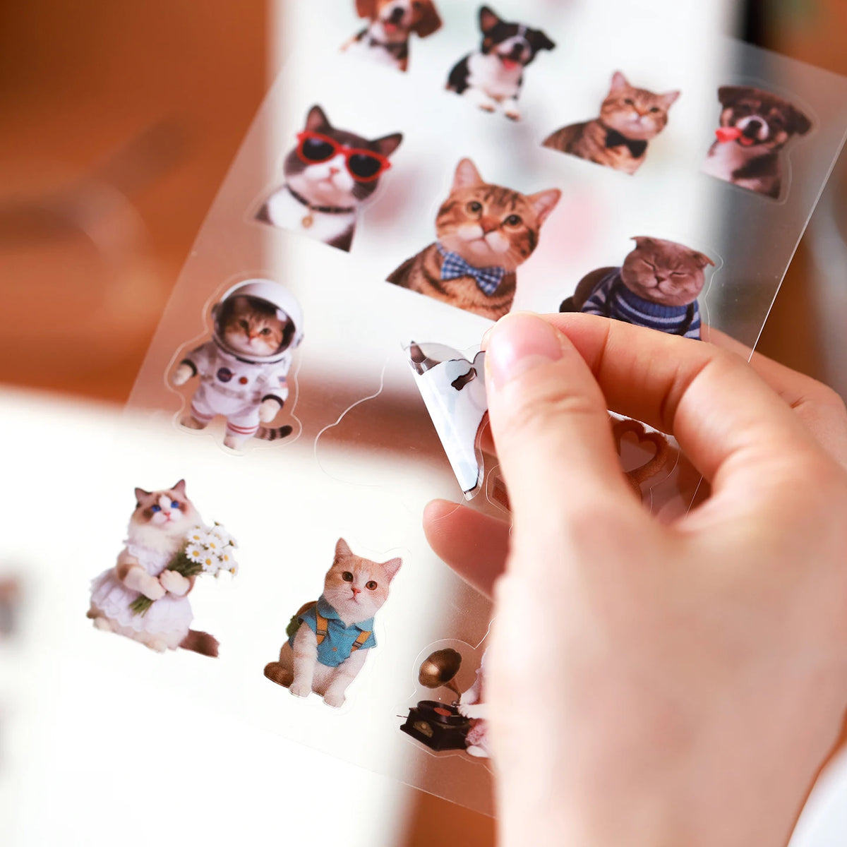 6 Pet Stickers of Puppies and Cats, High-Quality, Personalized, Creative Animal Expression Packs, Decorative Small Pattern Stickers for Journals, Suitable for Phones/Tablets