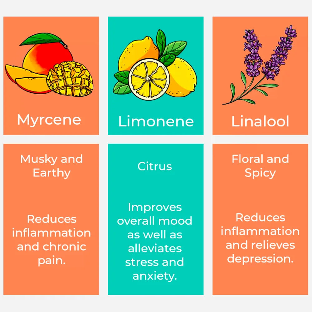 30ML Natural extractions pure food-grade terpenes oil can DIY cosmetics or other flavor liquid for different use purpose