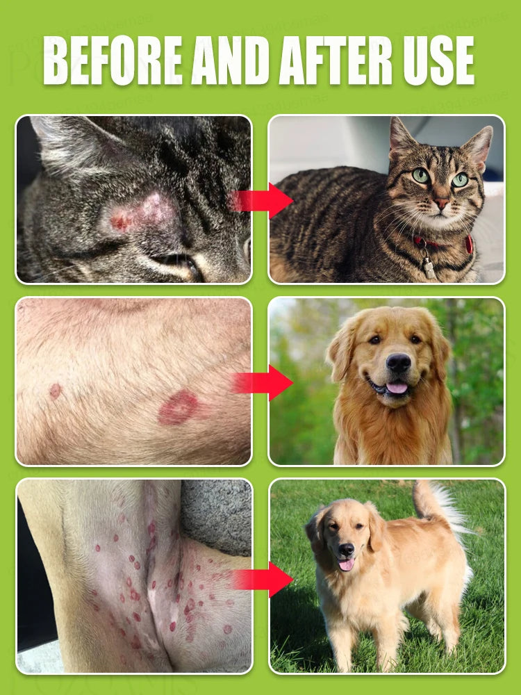 Spray anti-puces pour animaux de compagnie, dissolvant de poux, contrôle des tiques et des insectes.