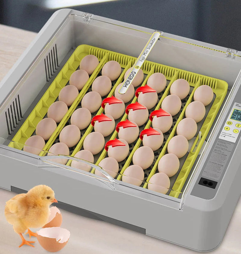 Newest 36 -120 Eggs Full Automatic Chicken Egg Incubator Brooder Hatchery Poultry equipment incubator Machine Automatic Turn Egg