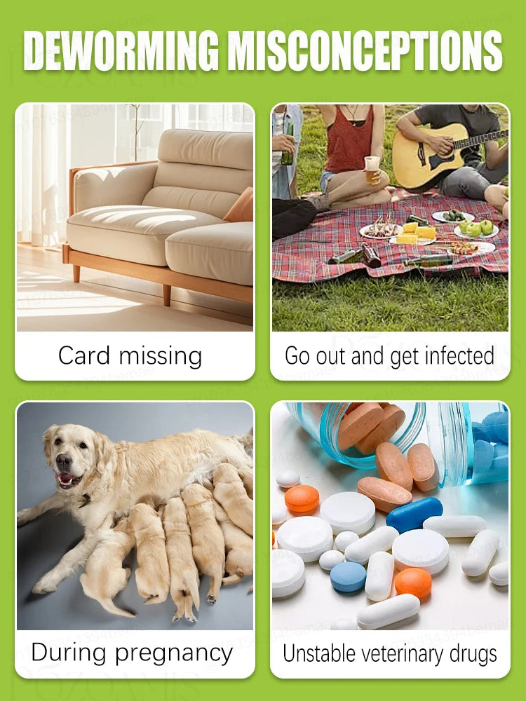 Spray anti-puces pour animaux de compagnie, dissolvant de poux, contrôle des tiques et des insectes.