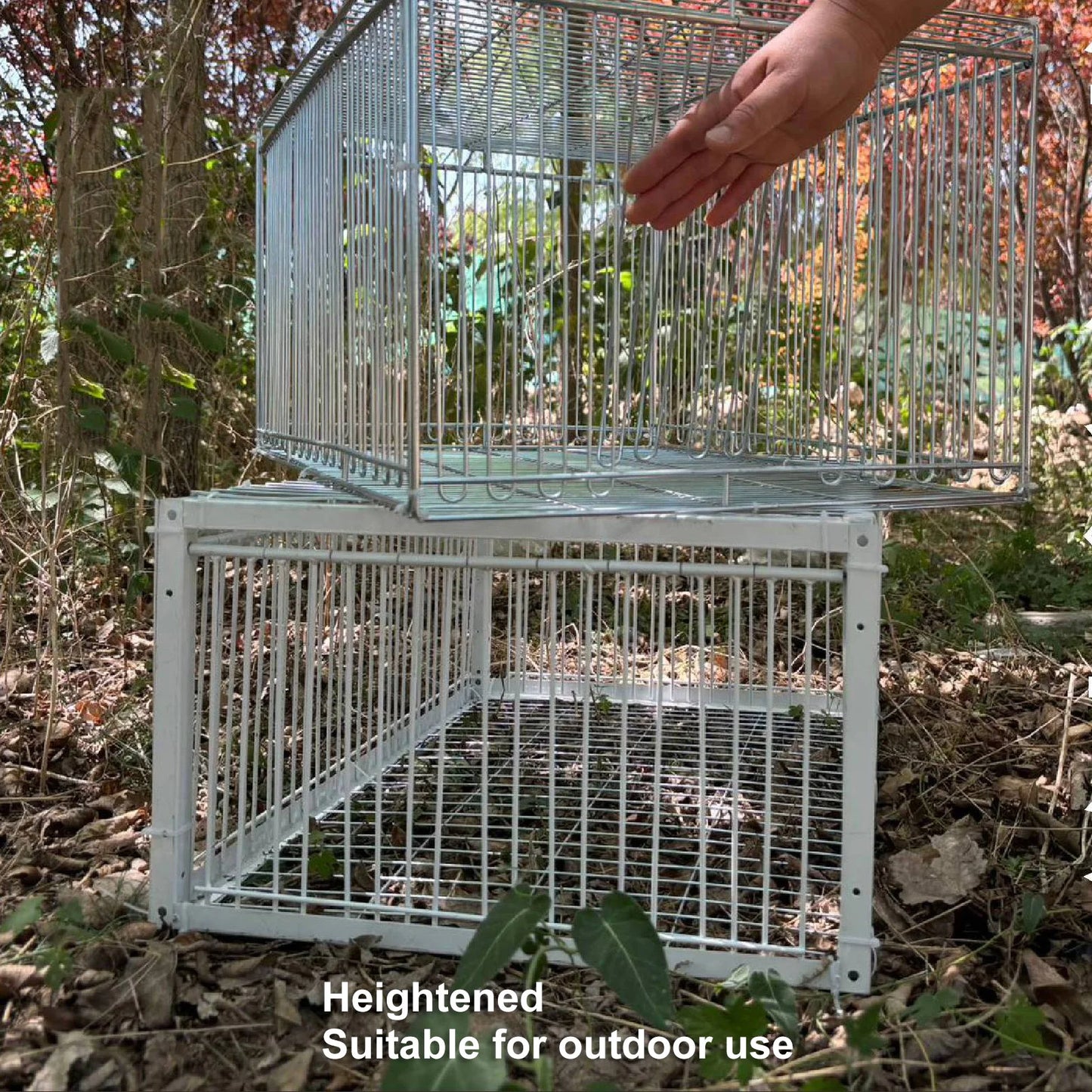Chicken Bird Trap Cage Escape Proof Chicken Bird Trap Cage Versatile Single Way Entry Easy Assembly Rust Resistant for Garage