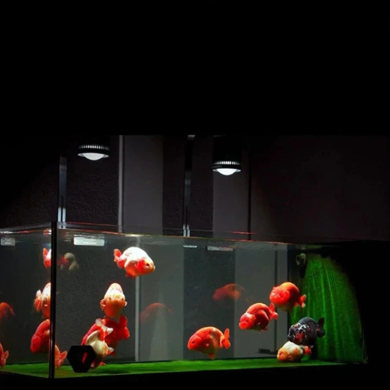 MAYIN Super Colour 100W Freshwater Goldfish Algae Bloom Planted Fish Tank Brightening Lamp LED Aquarium Downlight