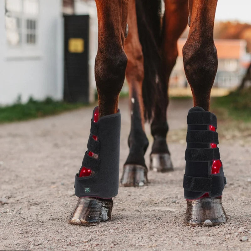 2PCS Red light therapy horse leg pad 660nm 850nm Equine Care Near Infrared Light Device Equine Products