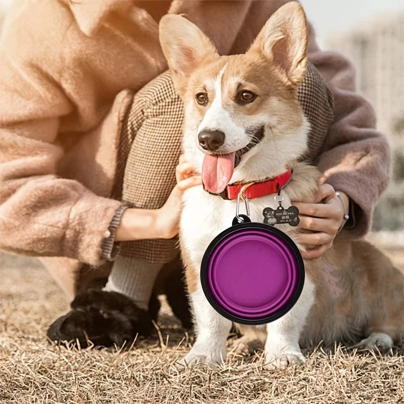 Portable Pet Food Bowl  Durable TPR Bowl  Cat and Dog Food Pet Silicone Collapsible Bowl Portable Travel Outdoor Water Food Bowl