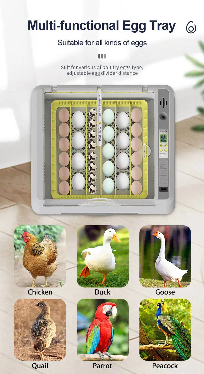 Newest 36 -120 Eggs Full Automatic Chicken Egg Incubator Brooder Hatchery Poultry equipment incubator Machine Automatic Turn Egg